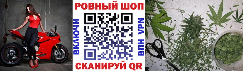 Купить наркотик Камызяк Гашиш  Бошки Шишки  mega зеркало  Меф  COCAIN 