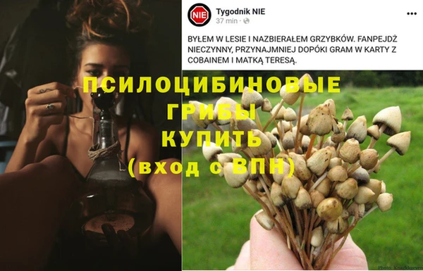 марихуана Алексин