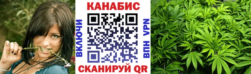 Конопля MAZAR Камызяк